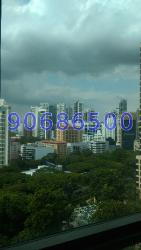 Tomlinson Heights (D10), Condominium #210473251